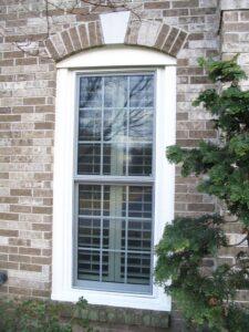 A double-hung window with white trim set in a brick wall; tree branches and a bush partially frame the window, and tree reflections are visible in the glass.