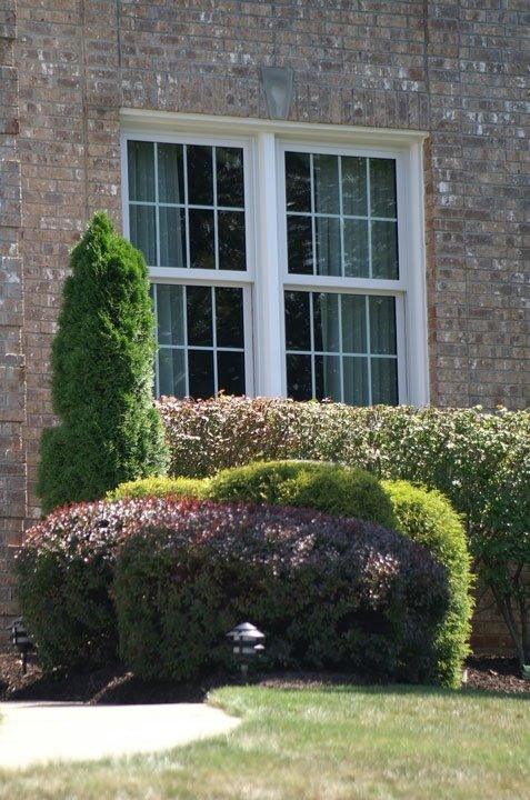 Double Hung Window Gallery | Ameritech Windows