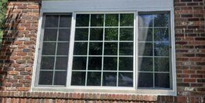 A large rectangular window with white grid frames set in a brick wall. Trees and greenery are reflected in the glass, and sunlight casts partial shadows on the window.