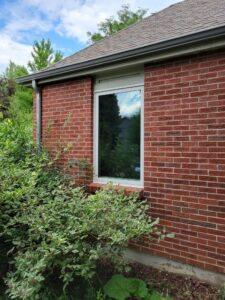 A large white-framed window is set in a red brick house with leafy green bushes growing close to the wall. The window reflects trees and sky on a partly cloudy day.