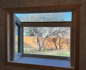 Window view of a tree outside
