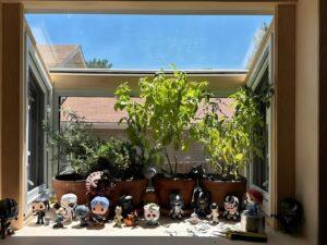 garden windows