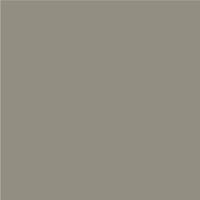 Storm Ameritech composite siding color swatch