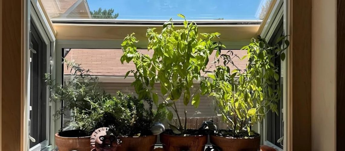 garden windows